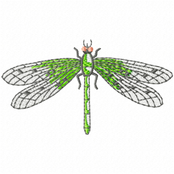 Dragon Flies Embroidery Design 4